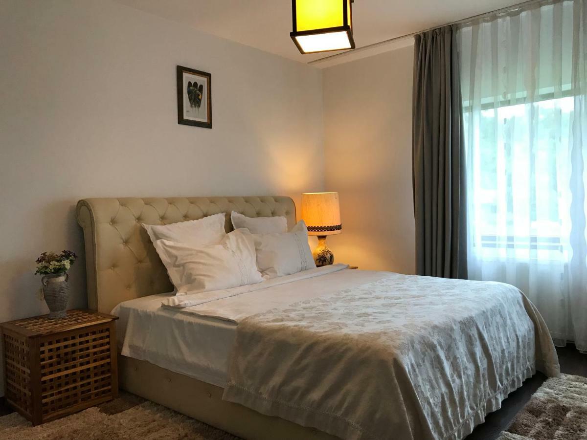 Calea Poienii Penthouse Διαμέρισμα Μπρασόβ Εξωτερικό φωτογραφία