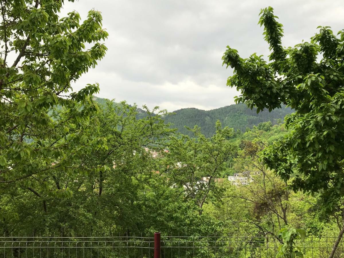 Calea Poienii Penthouse Διαμέρισμα Μπρασόβ Εξωτερικό φωτογραφία