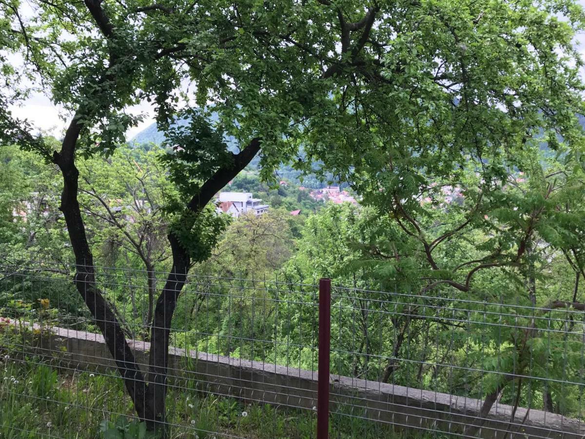 Calea Poienii Penthouse Διαμέρισμα Μπρασόβ Εξωτερικό φωτογραφία
